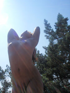 Read more about the article Mi noche prohibida en el yate privado de un multimillonario